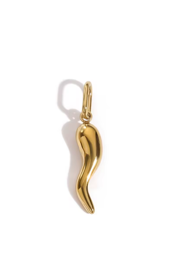 Gold Spice chilli pepper charm in gold by Zyrah Collective