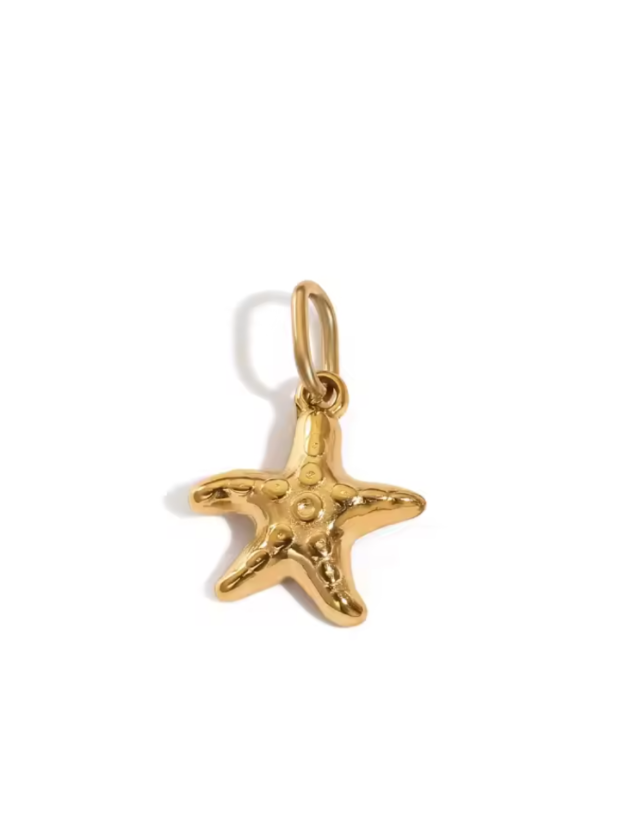 Ocea Star ocean star charm in gold by Zyrah Collective