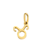 Constellation Charms star sign gold and silver by Zyrah Collective